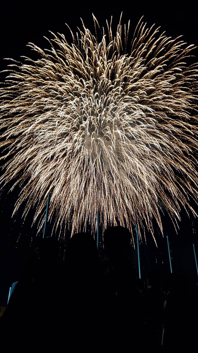 renrenmafmaf's tweet photo. 多摩川花火大会久しぶりに天気良くて良かったぁー！ https://t.co/feEZbj01PE