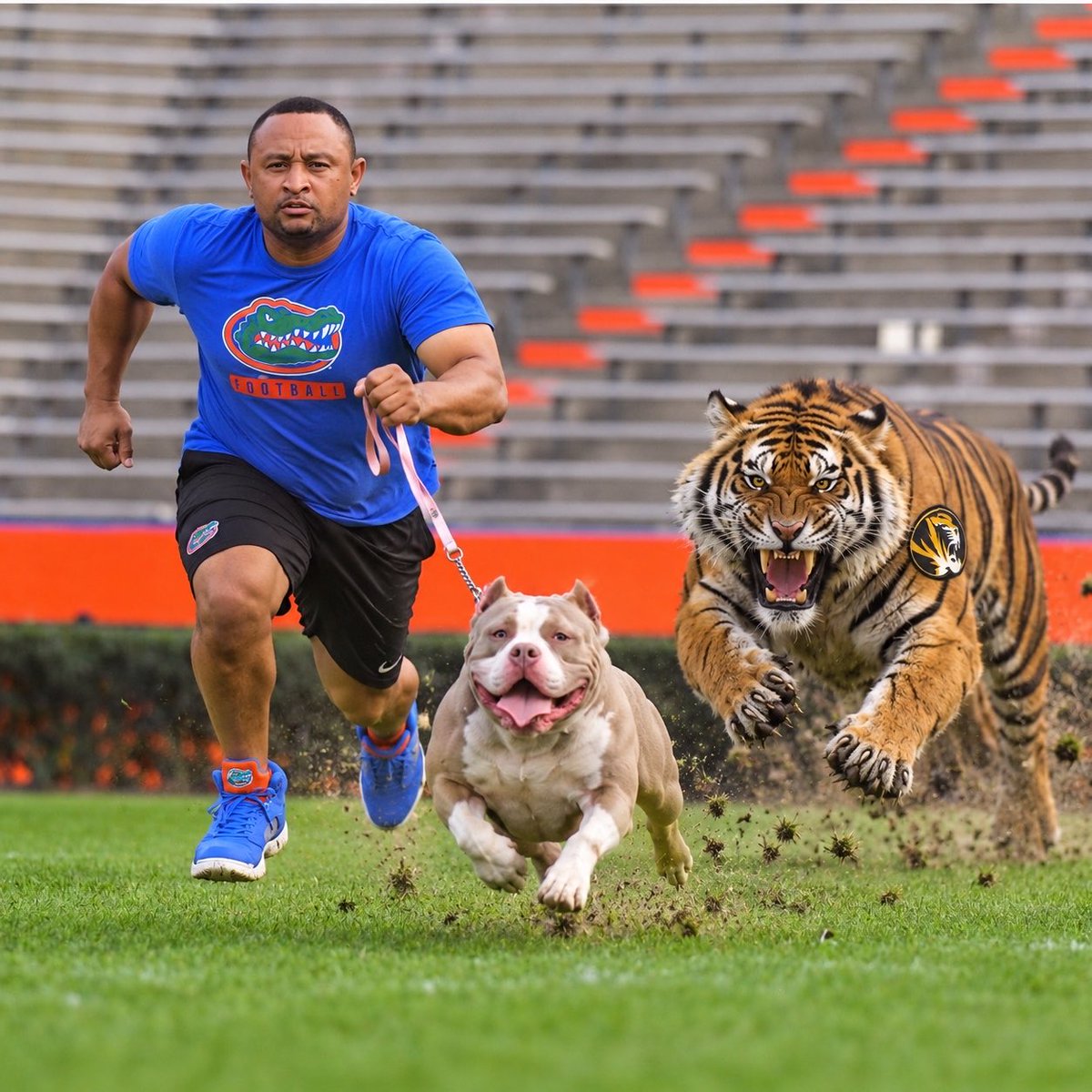 RyanTTKWilliams's tweet photo. Damn tiger on our ass! Run baby run! 😂 https://t.co/WrThhjBEsd