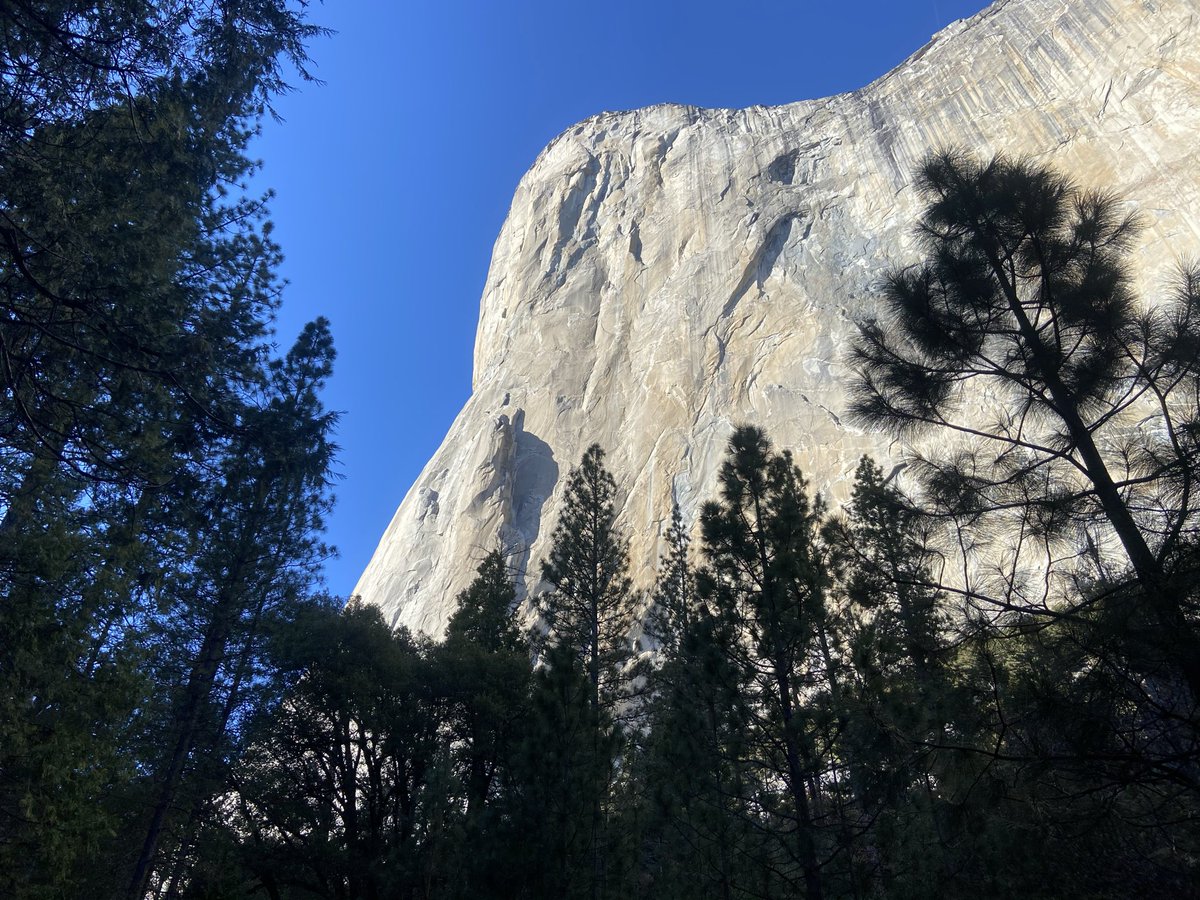 _microsuenos_'s tweet photo. @j0ivynaturally Big rock energy !! https://t.co/dF2wLFqWVq