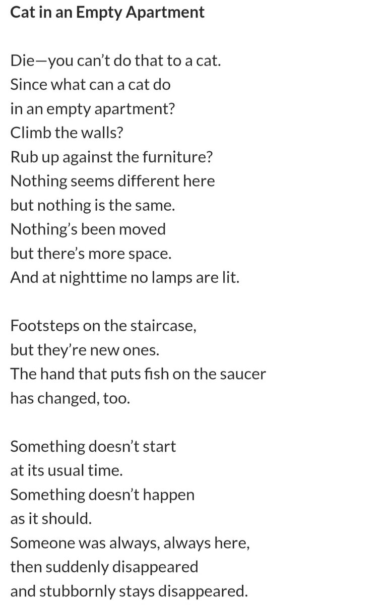 _IM_BER_'s tweet photo. @oobbbear It reminds me of a potem by a Polish poet Wisława Szymborska "Cat in an empty apartment" https://t.co/2LGFz3TTqw