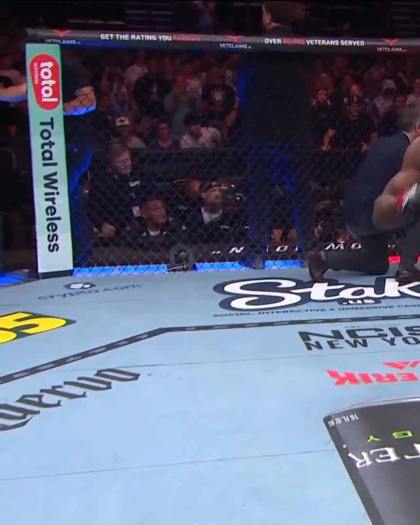 A UFC octagon scene with 'Stake' and 'crypto.com' logos on the mat, 'Total Wireless' on the padding, and a fighter visible through the cage.