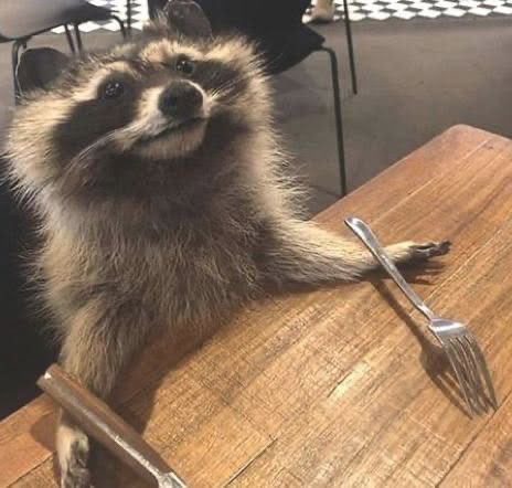 ShadowflowersM's tweet photo. @voidm0mma 10000/10 
Gladly eat https://t.co/RUyXkAuXUb