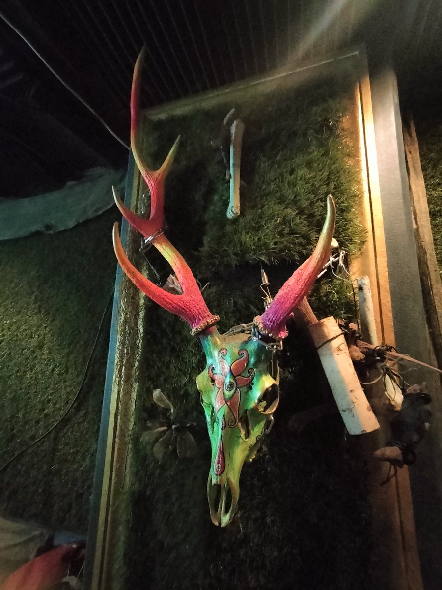 emondeniker's tweet photo. 昨日は

高円寺ORIENTAL FORCE
MIAMI DEVICE 20
関わって頂いた皆様
ありがとうございました

個性溢れる
各演者様
とても刺激になりました

お声掛け頂いた
MOTCHANのお二人
お疲れ様でした🙏

またどこかで🫡🚨

#高円寺
#ORIENTALFORCE
#MIAMIDEVICE20
#セットリスト https://t.co/ueHR3eSfIk