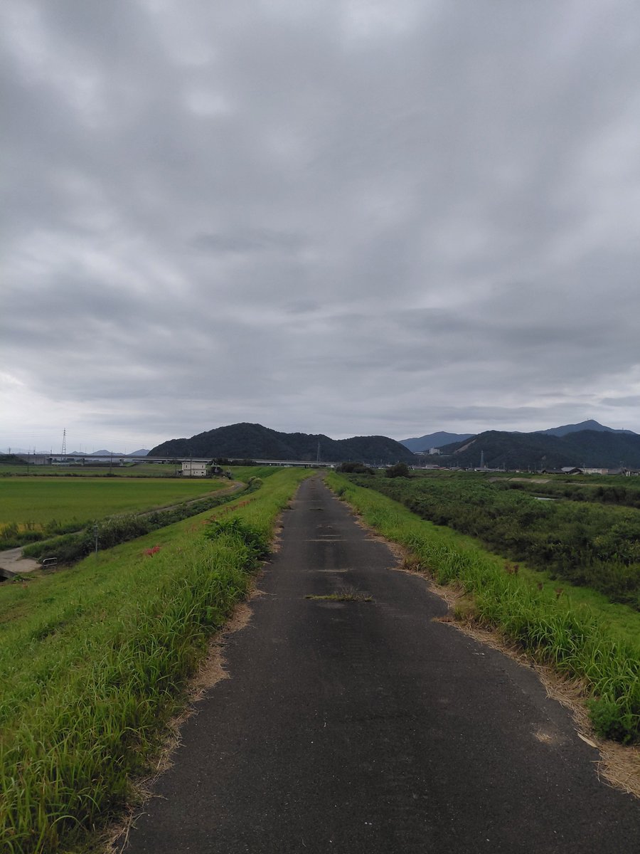 speckle_ot's tweet photo. 朝ラン10キロ1時間！

だいぶ慣れてきました。

#朝ラン #ランニング #ジョギング https://t.co/hHAEXXDnat