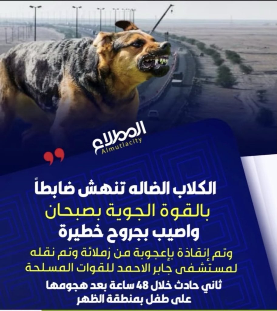 falehalkhudair1's tweet photo. ياحكومتنا 
شوفوا  لنا حل مع الكلاب الضالة
ظابط بالقوة الجوية بصبحان
تنهشه الكلاب🐕🐕
وطفل في منطقة 
الظهر🐕🐕
طيب هذا السكوت
ليش الحكومة متردده
في القضاء عليهم
نبي مسؤول يصرح
الي متي تنتهي 
قصة الكلاب الضالة 🐕🐕🐕
فهمونا لو سمحتوا
. https://t.co/FiaoE2OOQE