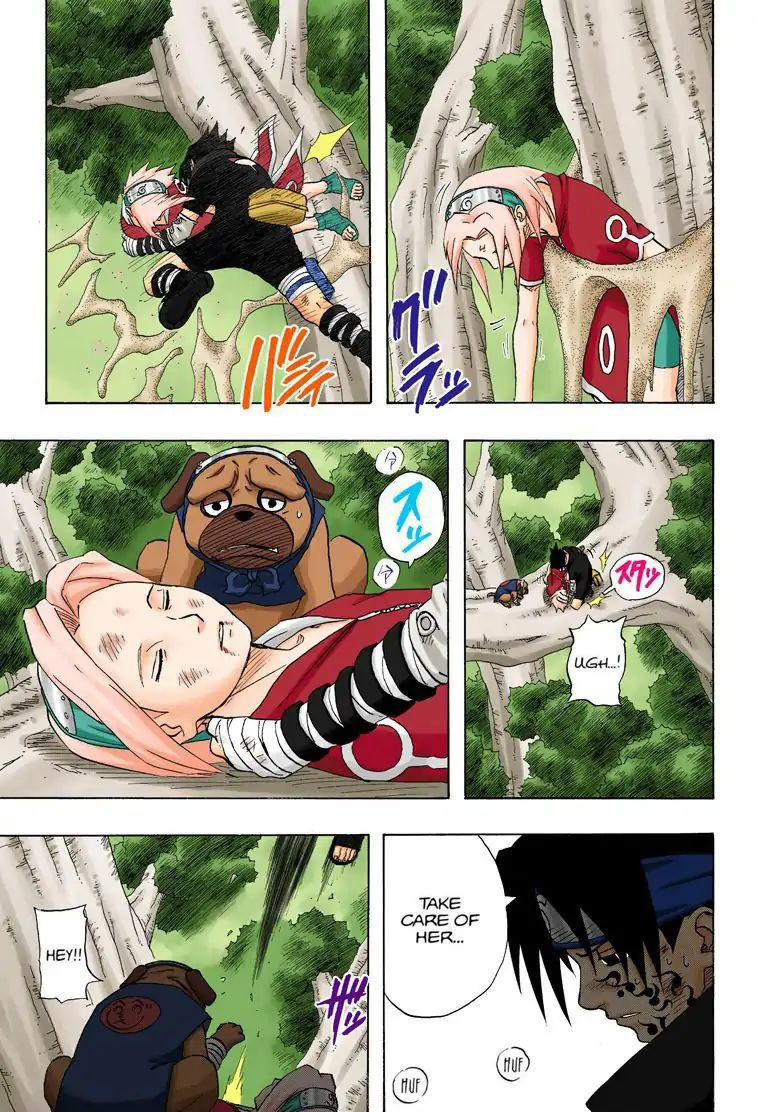 AcervoSakura's tweet photo. A lot of absurdities and people are focusing on the most plausible and close to the canon which is to admit that genin Sasuke always liked Sakura 😭 https://t.co/A8MpMd2Dkx