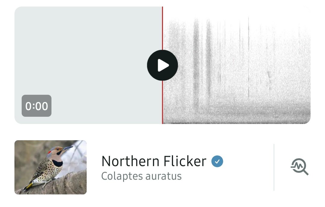 sorrowfowl's tweet photo. caught the audio from my living room couch, this place is awesome 🔥🔥🔥 the northern fucker https://t.co/JncMf8uQdZ