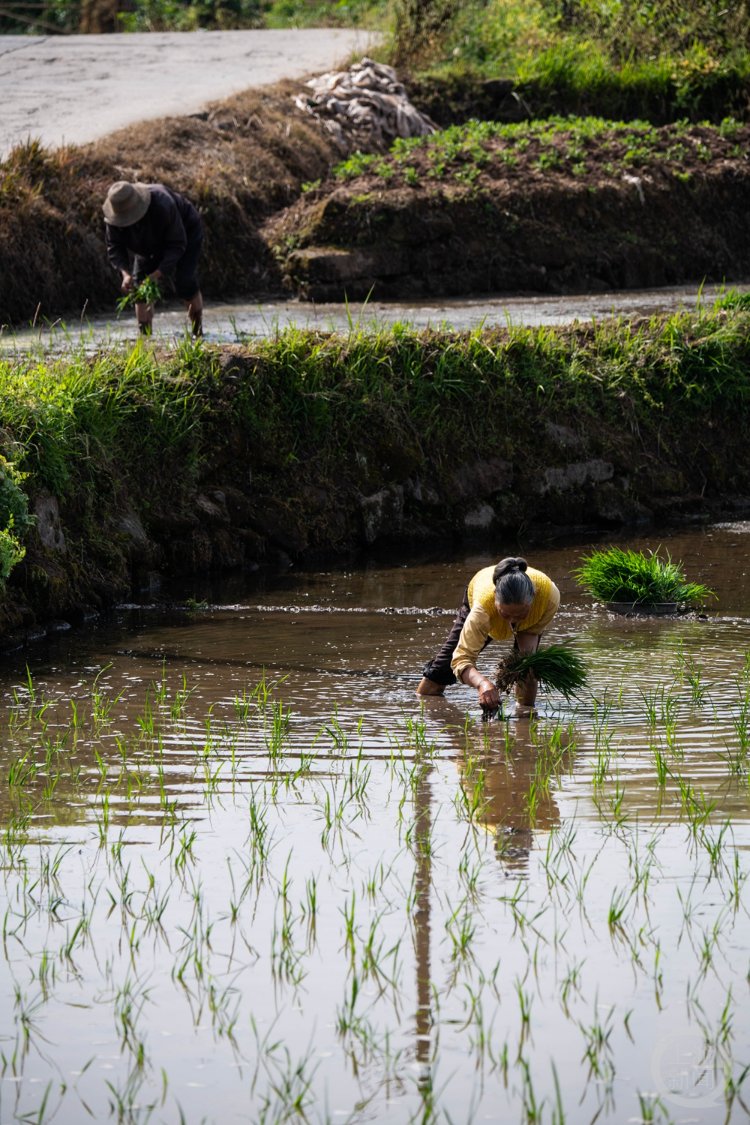 ApriliaTriKart3's tweet photo. [Shore mother uses Zhang River water to nourish the land with tender care.] https://t.co/nvwnLyqpTd
