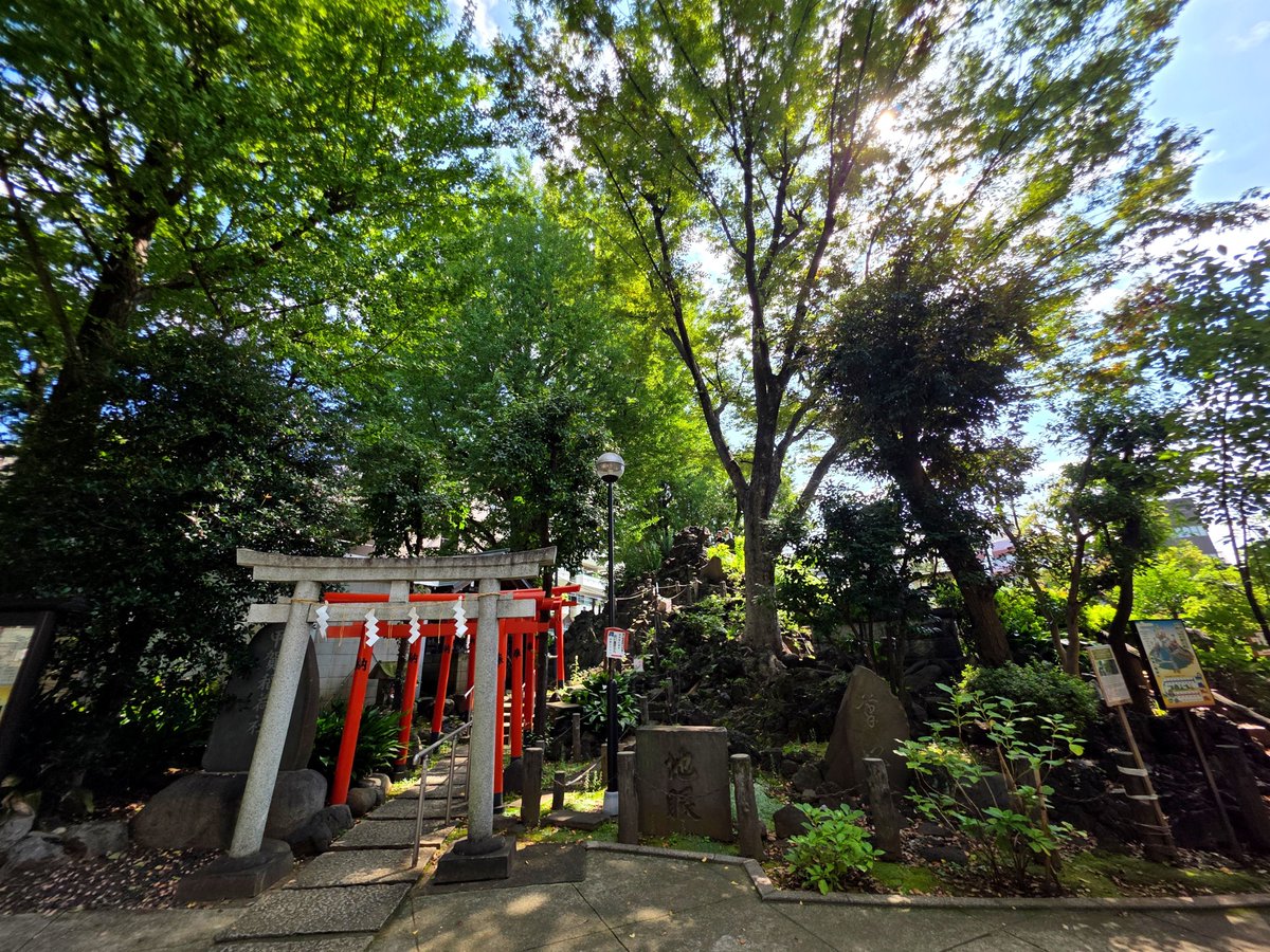 ika_ringo_spla's tweet photo. 昨日カビドーナツ💣を食べて向かった先は鳩森八幡神社

境内にただよう銀杏のかぐわしい香りに秋を感じる
1000人以上の人が並んでいたので本殿は撮れませんでした😂 https://t.co/95mBbTkEW5