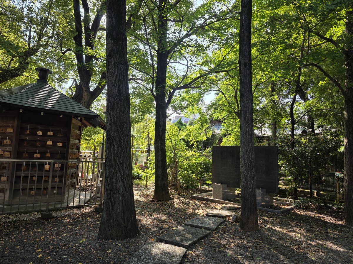 ika_ringo_spla's tweet photo. 昨日カビドーナツ💣を食べて向かった先は鳩森八幡神社

境内にただよう銀杏のかぐわしい香りに秋を感じる
1000人以上の人が並んでいたので本殿は撮れませんでした😂 https://t.co/95mBbTkEW5