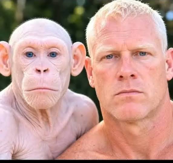hannyboy4's tweet photo. @MoTheo82 @TRobinsonNewEra https://t.co/3dc6lR3cid