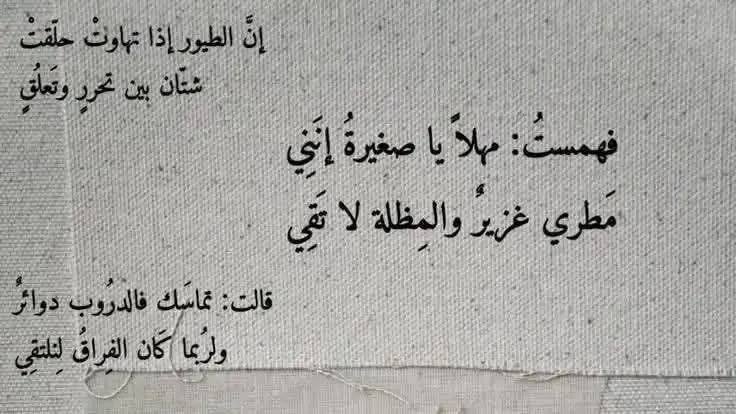 Aml__2's tweet photo. https://t.co/wBZp50hhcB