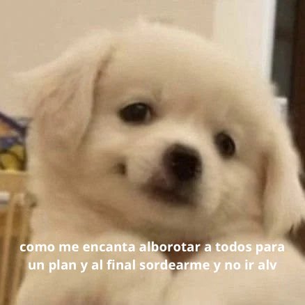 conoloracigarro tweet picture