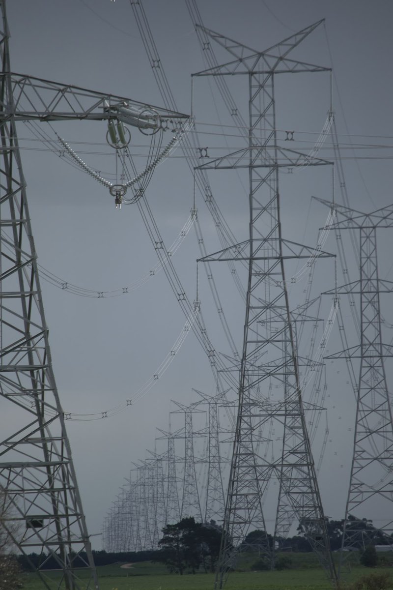 dailypylons's tweet photo. https://t.co/oAe054OOYM
