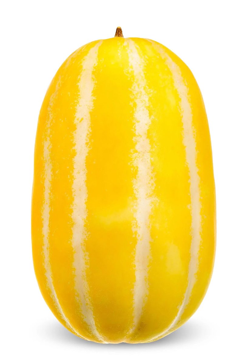 dailyobject_'s tweet photo. DAILY OBJECT 1421:

ORIENTAL MELON https://t.co/igYjGbpaty