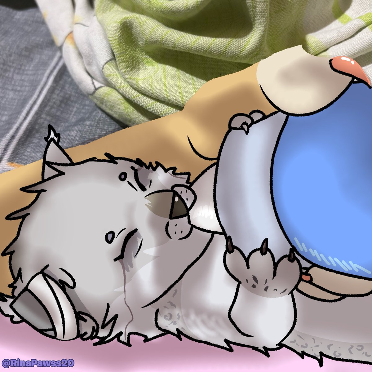 RinArsen2003's tweet photo. Little me 

#furry #kitten #baby #cat #art #lynx #oc #me #myoc #character https://t.co/9mXURz3W18