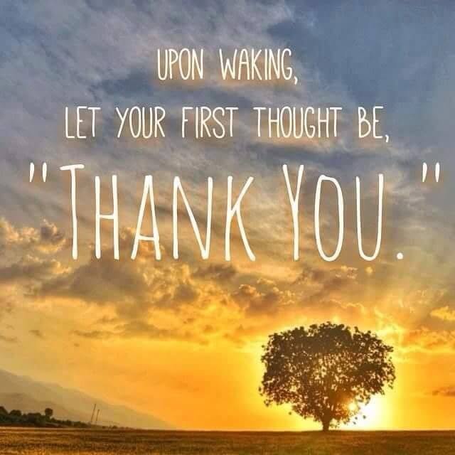 lizzyarek's tweet photo. 🙏😊 ... https://t.co/qCDbErLxIv