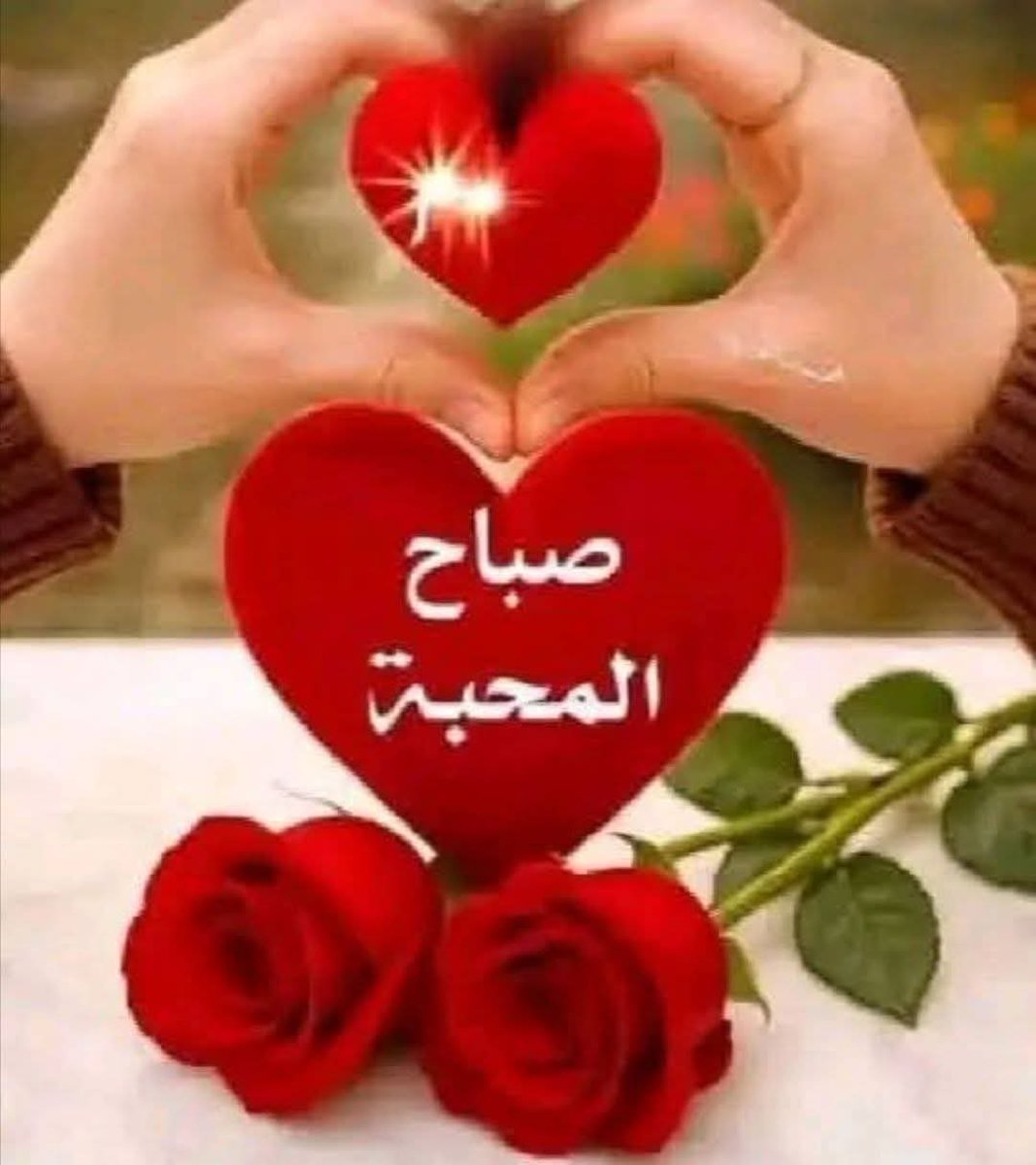 Mahmoud_Advisor's tweet photo. إنّي أحبك فاعلمي إن لم تكوني تعلمين 
 حبا اقل قليله كجميع حب العالمين https://t.co/6zWDobXyuT