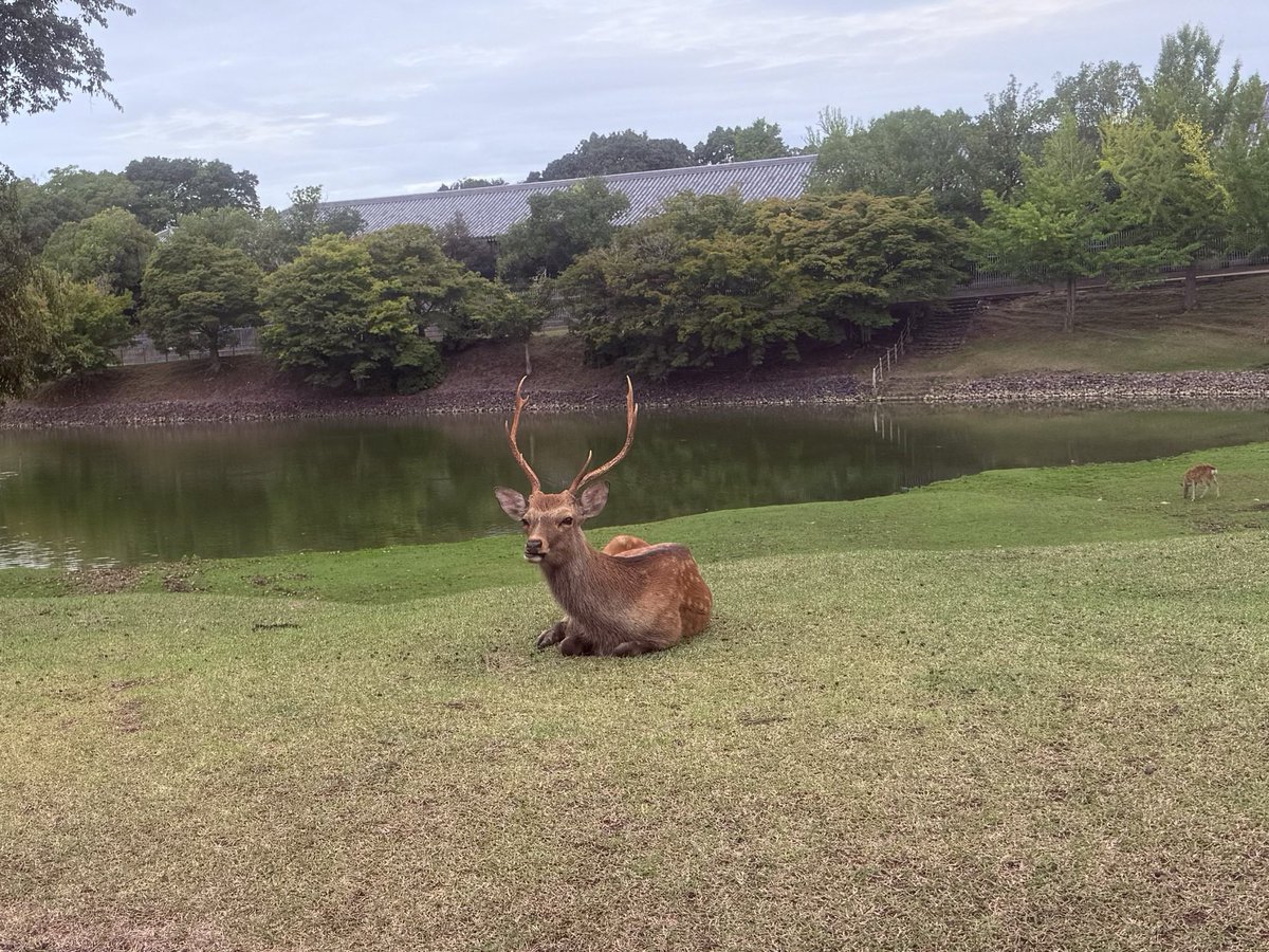 NknsMtyk's tweet photo. 🦌☁️おはようございます🦌👍💪😃
今日は曇り空☁️気温21℃過ごしやすい気温です
今日はこの後9時30分から臓器移植キャンペーンに参加する予定です
今日も元気でよろしくお願いします🙇‍♂️👍💪🦌👌☁️😃 https://t.co/zV2iaFhbAs