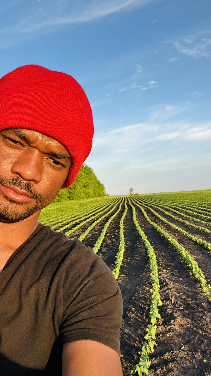 meotech1's tweet photo. Igrorans ka few relem demon 😈, siw konn sam posede.🇭🇹👨🏿‍🌾🌱🌱🌱🌱🥷🐜🐜🐜🐜🐜🐜🐜🐜🐜🐜🐜🐜🐜🔥🔥🔥🔥🔥🔥🔥🔥🔥🔥🔥🔥🔥

Chinwa gang🐜🐜🐜🐜🐜🐜🐜🐜🐜@wendyyyytraka 🥷🥷🥷🥷🥷🥷 https://t.co/OMzcAzg9lr