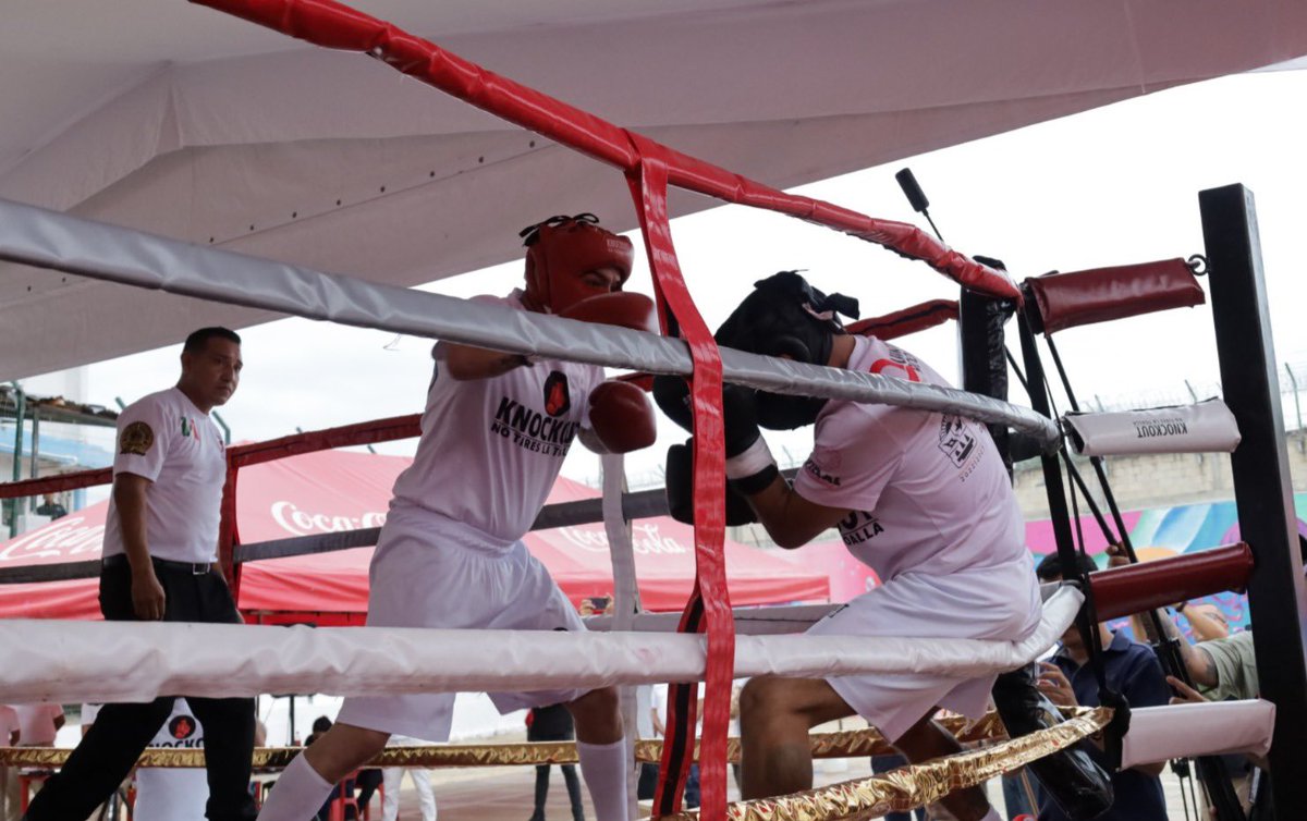 SSC_QROO's tweet photo. El esfuerzo sube al ring: PPL concluyen “Knockout: No tires la toalla”

Después de semanas de preparación, entrenamiento y constancia, el ring del Centro Penitenciario de Cancún fue escenario de la gran final de “Knockout: No tires la toalla” https://t.co/iHDhusk0Ev