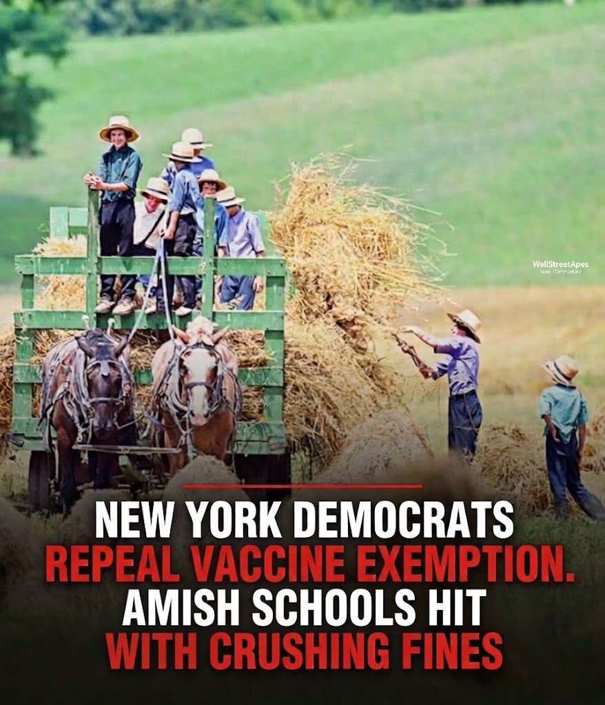 WallStreetApes's tweet photo. The Amish in New York are facing massive fines over Democrats vaccine mandates. Amish families will likely have to flee the state after losing the religious exemption they’ve had for decades

Amish private schools are being hit with crushing fines for not having  students vaccinated

The fines are roughly $2,000 per noncompliant children, multiplied by the number of school days

3 small schools were sited, of the 59 children already cited, one more day of attendance brought the total fines to $118,000, they say they can’t pay it

New York Democrats position is that every day an unvaccinated child attends school there will be a fresh violation worth up to $2,000