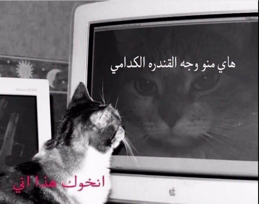 strange2314's tweet photo. لا تفعل https://t.co/U3J4wXqVBR