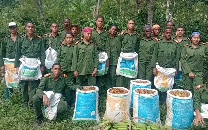 YasmanySal66724's tweet photo. 🇨🇺Estos son los jóvenes de
" Verde Olivo".
Con alegría , entusiasmo y compromiso participan los estudiantes de la EMCC de Santiago de Cuba en la recogida del café en las montañas del Segundo Frente Oriental.
#FARCuba.
#Cuba.
#FirmesYDignos. https://t.co/kvb6B4wGZH