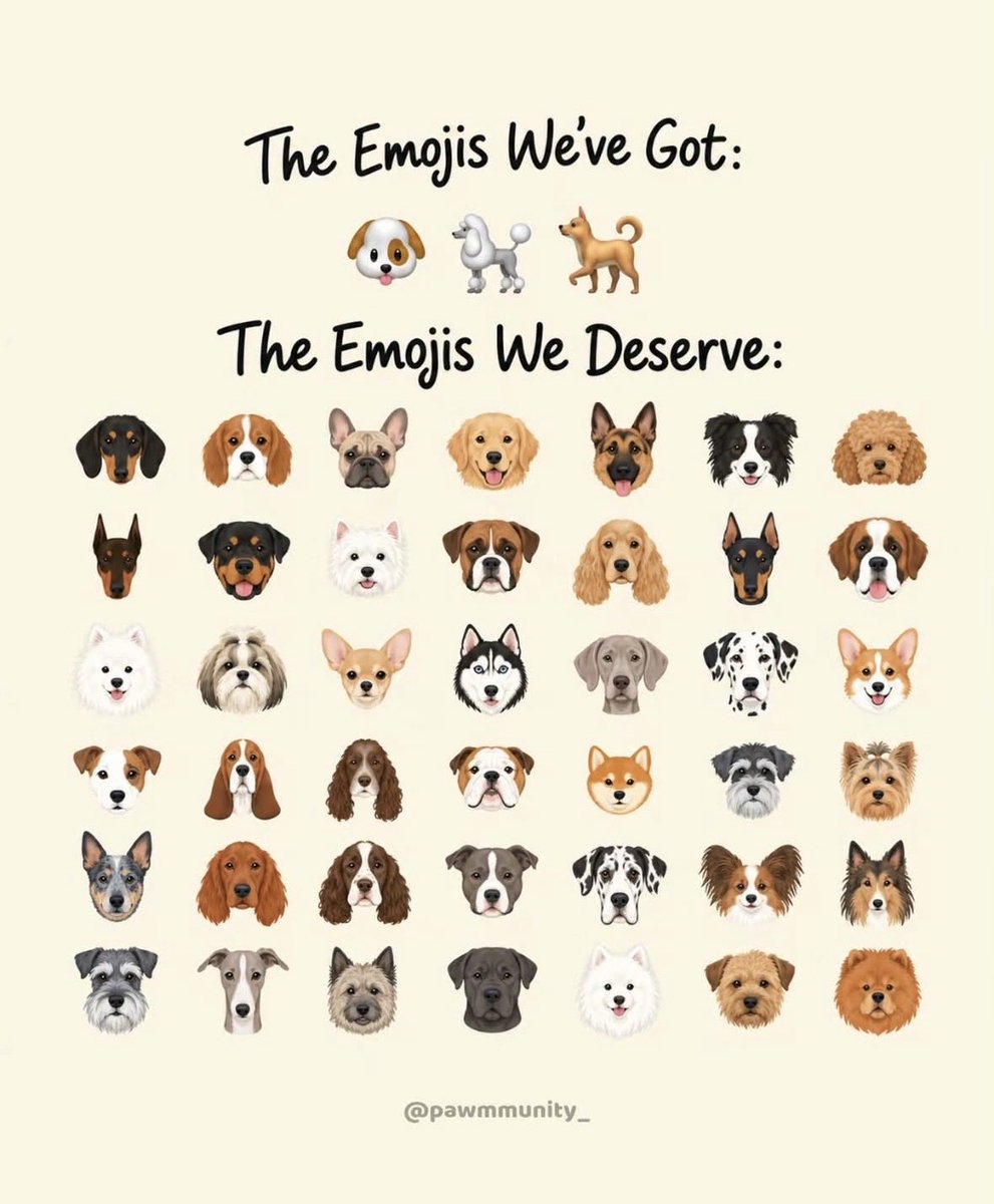 SammydaBulldog's tweet photo. Yes!!! 🤣🤣😩❤️ https://t.co/ylbJZQGIqS