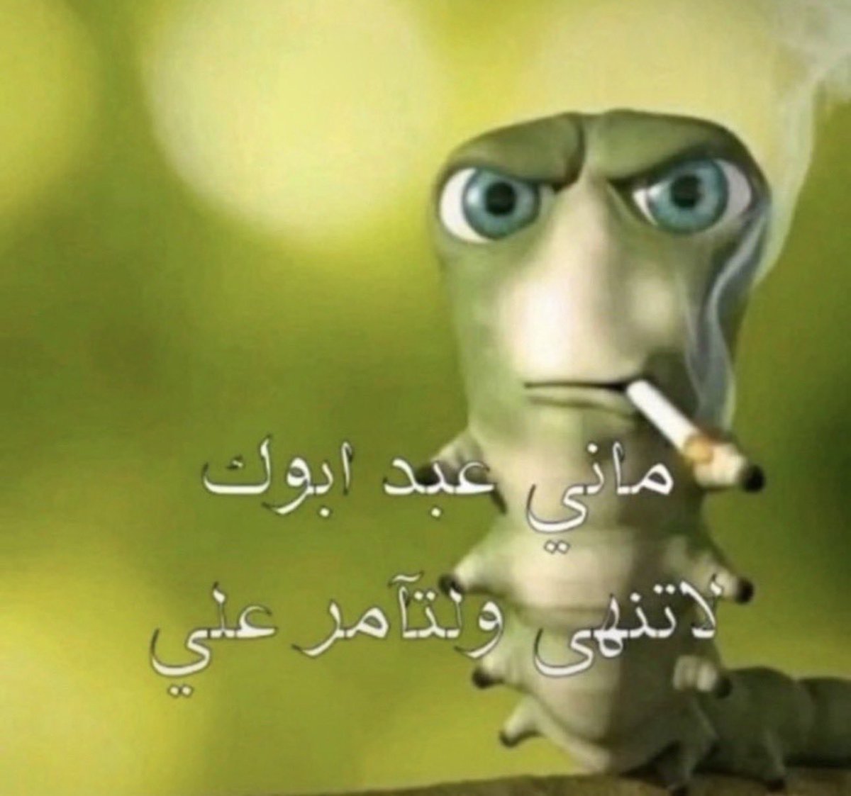 iREEM2i's tweet photo. فلاديمير قال يبي كرسي يستريح عشان يفضفض زين

الدكتور : https://t.co/bjCRymDxRS
