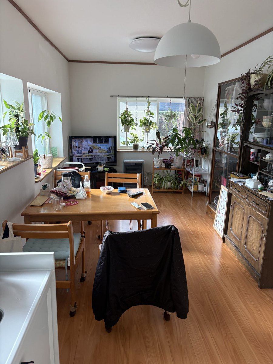 sooru_brzzd8's tweet photo. 植物増えてんな https://t.co/VVwMJD7n31