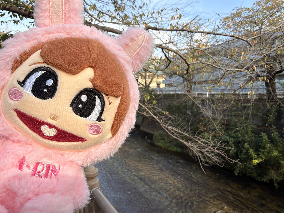 babochan2022's tweet photo. 今朝の朝活散歩スタート☀️
久しぶりに川沿いにカワセミさんを探します😊 https://t.co/zvMbJivlpS