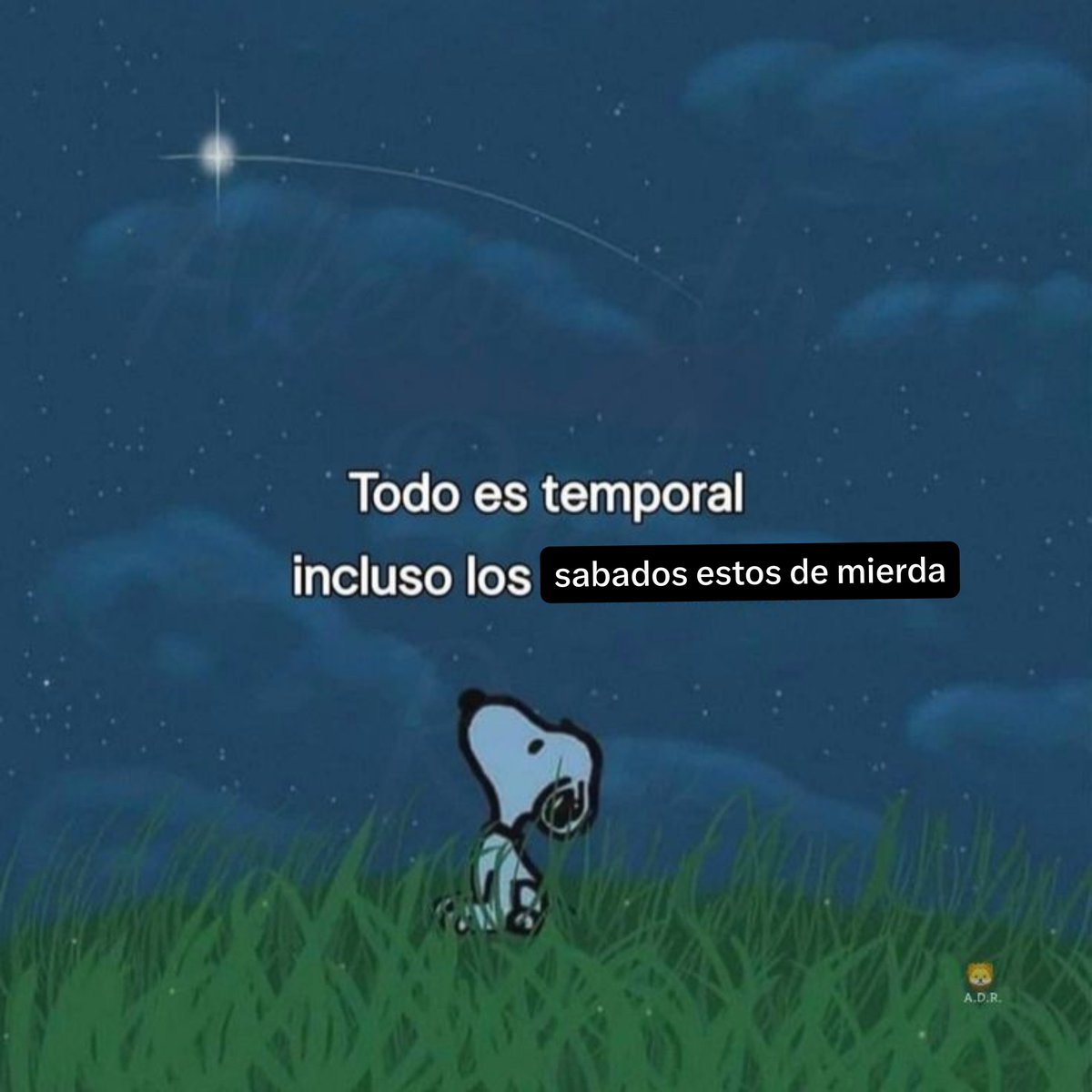 renegandola's tweet photo. no recuerdo un sabado peor https://t.co/PKl21BxupW