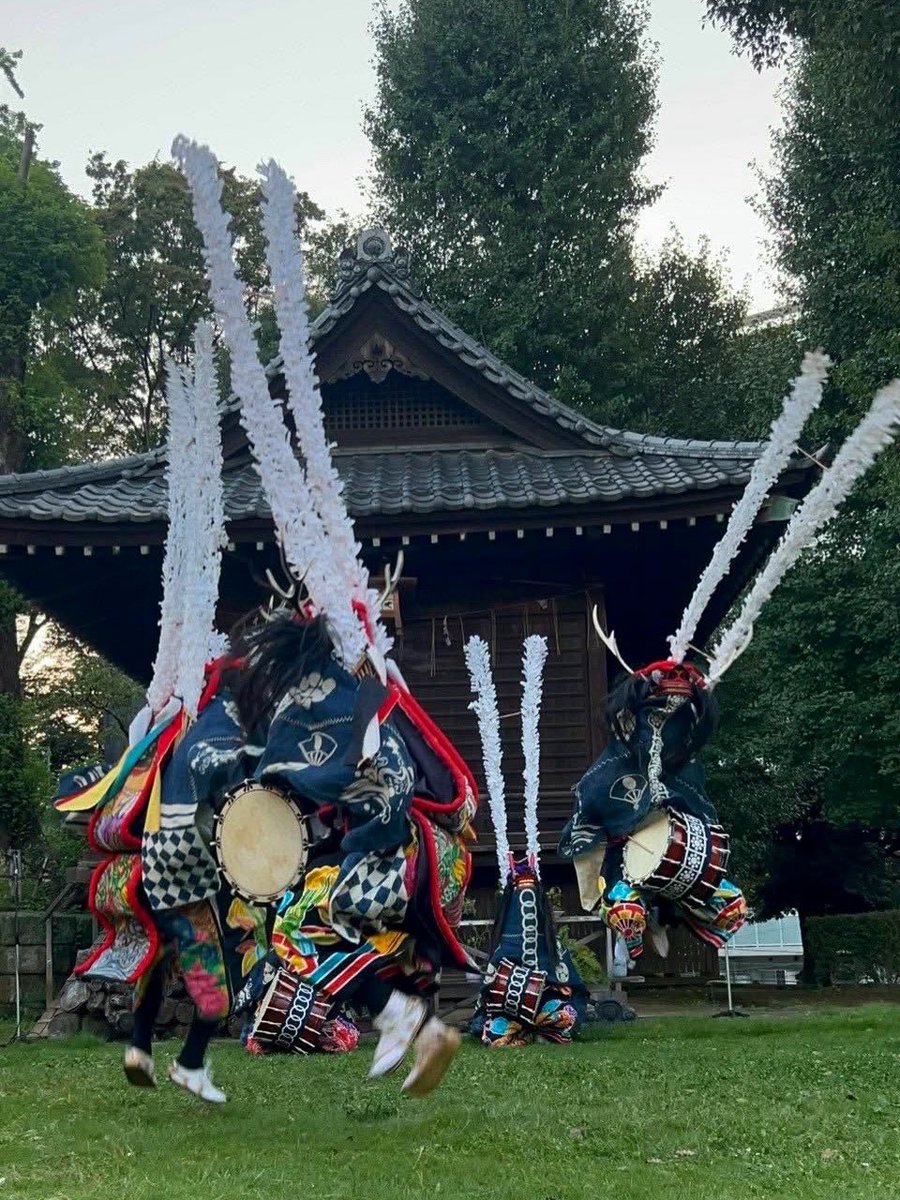 maikawashishi's tweet photo. 西向天神社「東京鹿踊＆行山流舞川鹿子躍 特別奉納」、無事終了しました🦌
お越しいただいた皆さま、ありがとうございました！
東京鹿踊の皆さんと「褒め唄」を奉納し、「案山子躍」の一部も披露。
土地を越えて鹿踊をともに躍る、貴重な一日となりました。
#行山流舞川鹿子躍 #東京鹿踊 #鹿踊 https://t.co/Vveg5OpQ4f