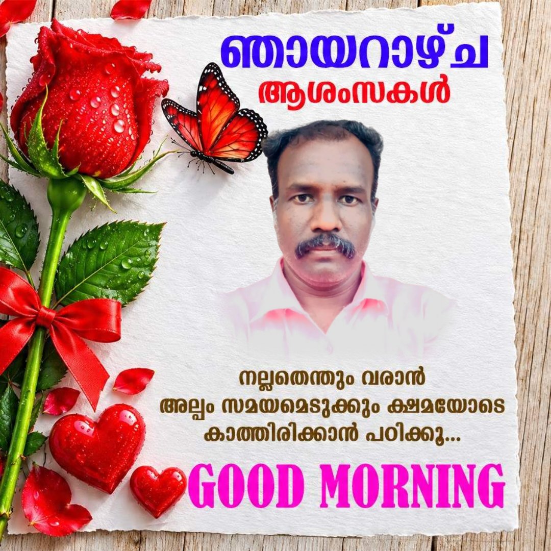 Rahulrkatta's tweet photo. Good morning friends 🌞 https://t.co/YsgSC8m2ma