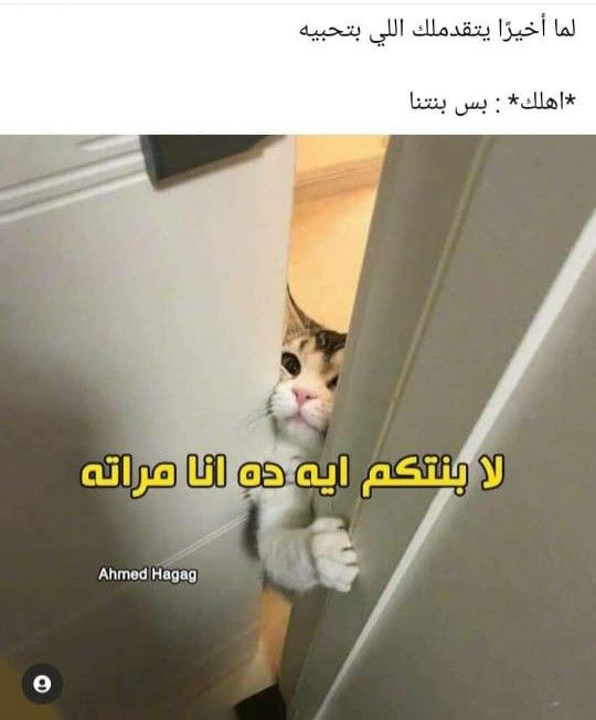 muhelfeki9's tweet photo. قال ﷺ: *"لم يُرَ للمتحابين مثل النكاح"* يعني أحسن حل للحب الصادق هو الجواز.. مش الصحوبية! https://t.co/eMNlTyz4d1