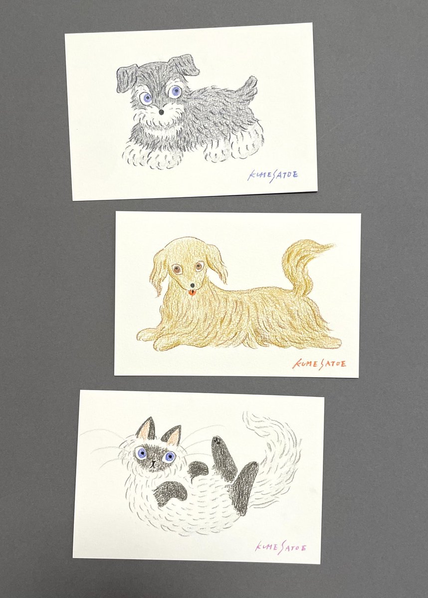 kumesatoe's tweet photo. 【えほん博2026  似顔絵会】
色鉛筆でハガキサイズに動物を描きます。
お申込みお待ちしております！
・・・
2026年11月8日(日)
11:00-17:00
代官山 蔦屋書店 1号館 2階
@DT_childrenbook
1枠15分／5,500円(税込)

【詳細・お申込みはこちら】
https://t.co/K1N3p67gui https://t.co/osXILjuOKa