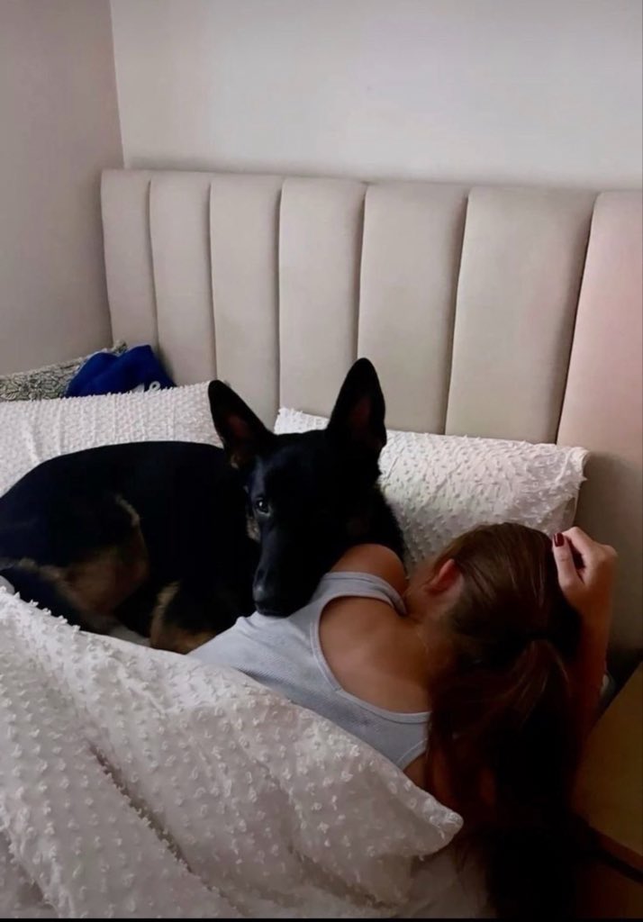 Canniba9w83's tweet photo. From zoomies to snuggles, every moment with my dog is a gift dand Every walk turns into a new 👅🐶🐾adventure Subscribe so you never miss a moment Make this live unforgettable with me!🥵💦❤️👇 https://t.co/WCriKUgyHW https://t.co/U79CLxAeWD