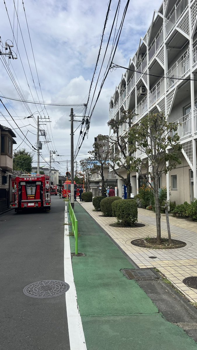 warusan893's tweet photo. どした？すげぇにぎやかなんだけど🚨 https://t.co/1rOX5lLuwV
