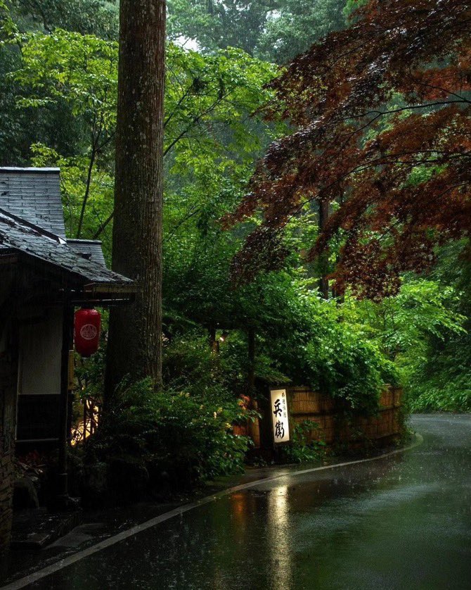 Paws_Natures's tweet photo. Kyoto,Japan https://t.co/Zw1U1MSYHC