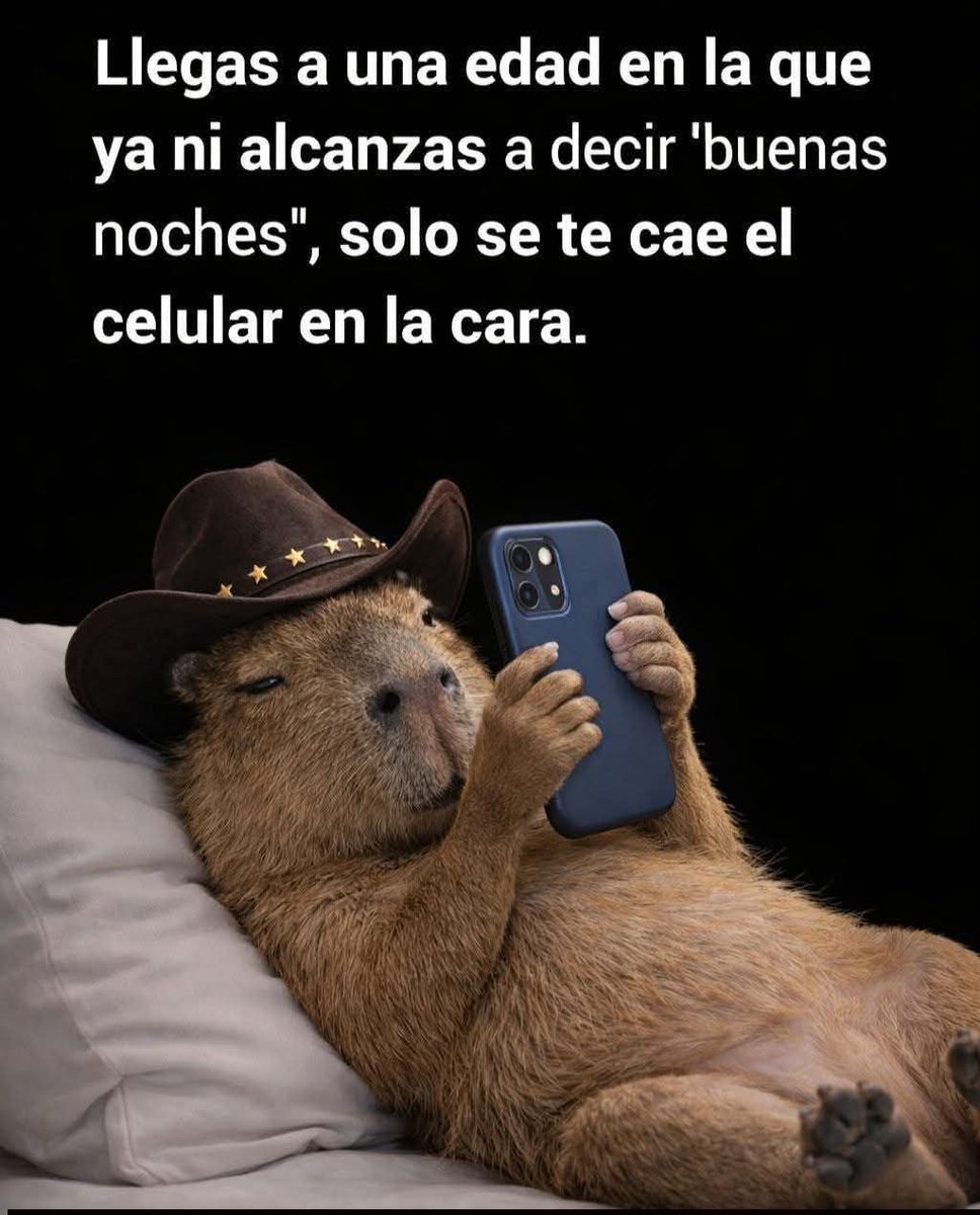 TuzitaXtuitera's tweet photo. https://t.co/2nxrUw9FpN