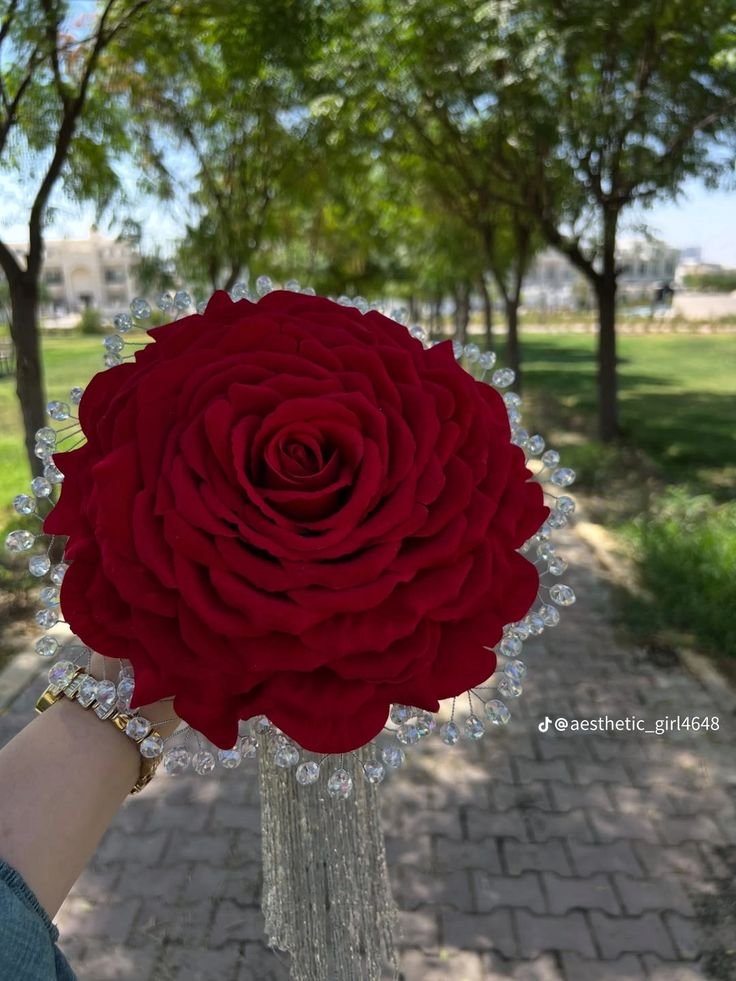 Flowers7005's tweet photo. https://t.co/z3wAR4FtIj