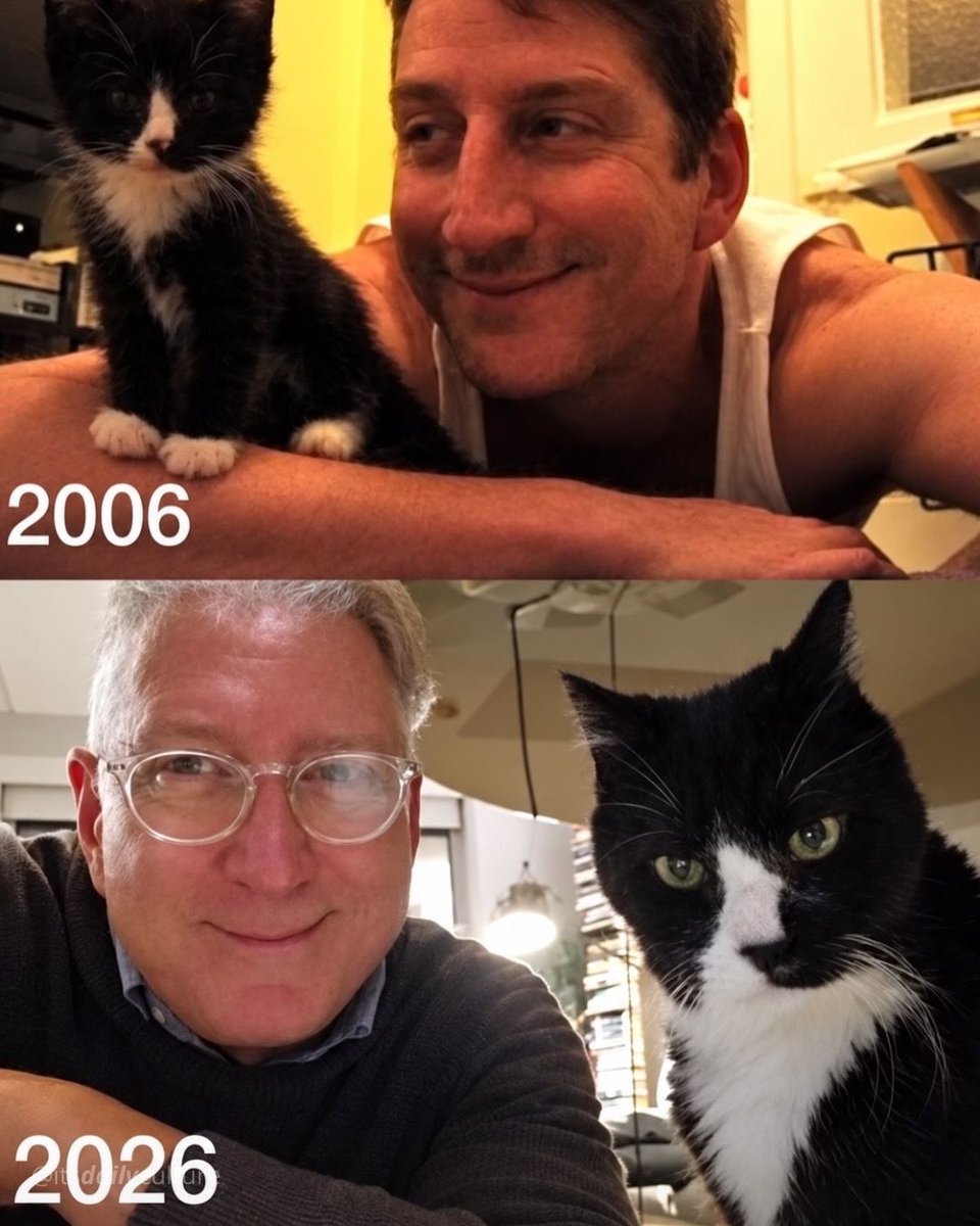 itsDailyCulture's tweet photo. 20 anos ao lado do mesmo amigo, isso é ser abençoado. acho muito bonito a relação que alguns tutores tem com seus animais, e poder viver tanto tempo com eles é uma dádiva. https://t.co/WxxUEvk3Y7