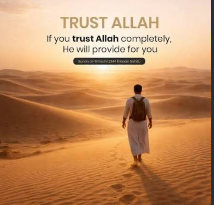 AlHashimCrypto's tweet photo. https://t.co/n8cGtXJ5vf
