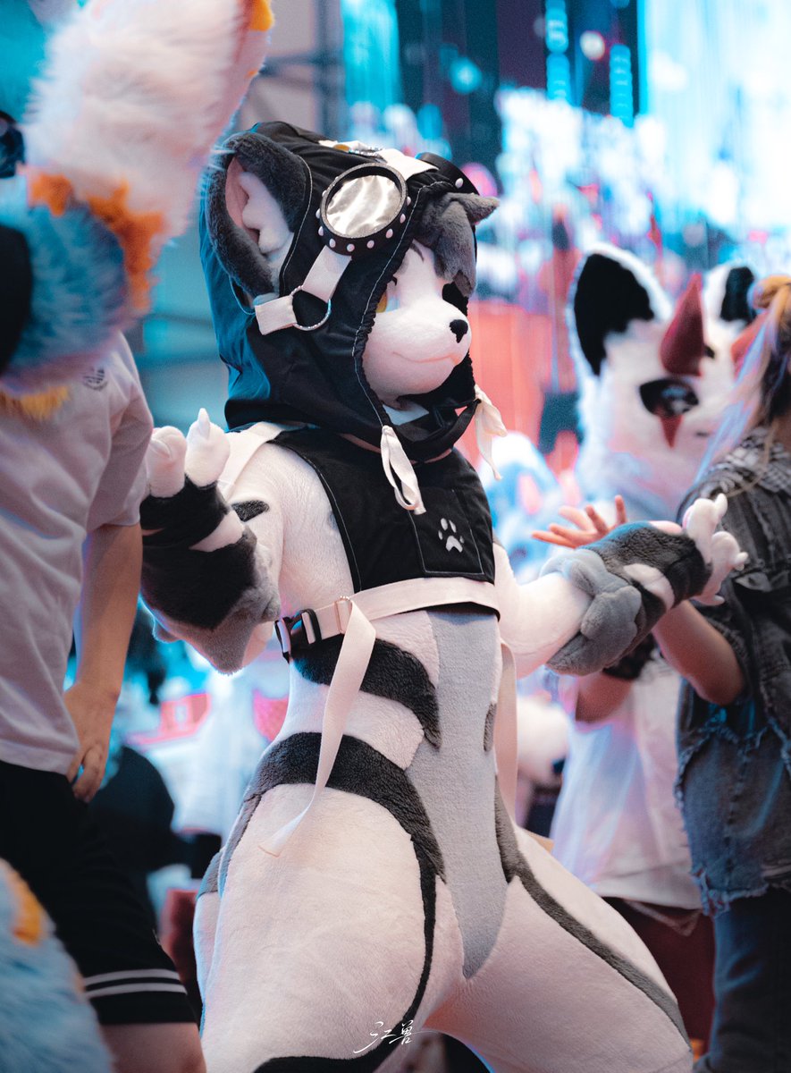 FurryGintan's tweet photo. 綺麗な一枚をもらった！！！ https://t.co/C3JhXKi2Op