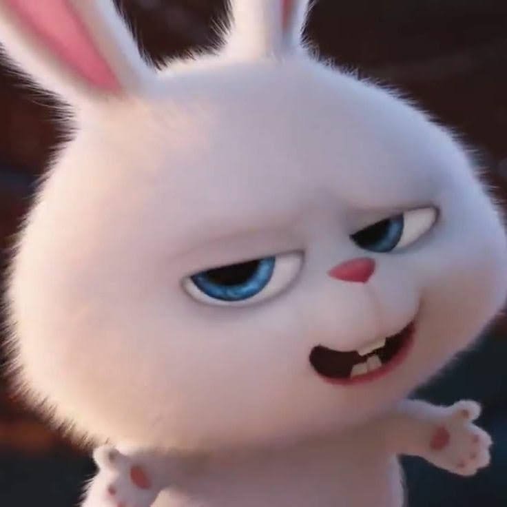 FlynnLoco's tweet photo. @mandarinacaoba Yo que vos empiezo ahora porque el verano esta cerca https://t.co/hFH4QCYnQt