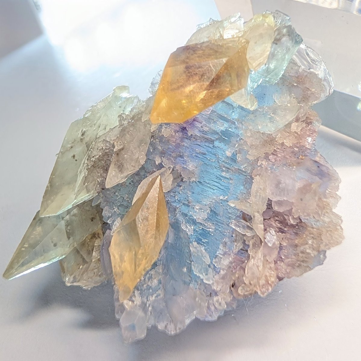 forestokiwa's tweet photo. イリノイのフローライト

照りツヤやブルーに関しては他の方のFineな個体をご覧いただくとして、
表面の蝕像具合や形状の面白さ、そして色の夢かわ度については是非とも推させて欲しい

アナベルリー、🦉、🦉 https://t.co/fXaQPe9BX1