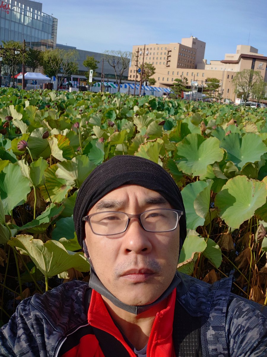 CenterIchi's tweet photo. 蜘蛛の糸の冒頭のような

#いちのたび https://t.co/FgzaxET7dH