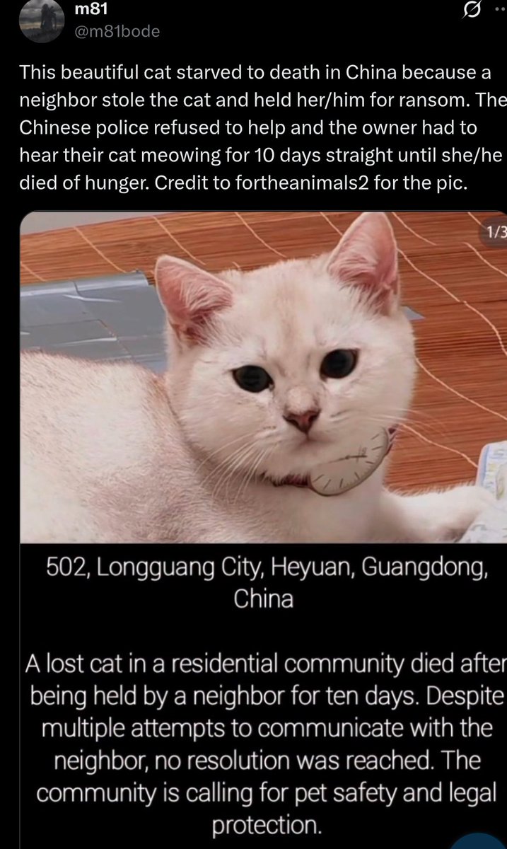 PhaedraXTeddy's tweet photo. Do you have to worry that your neighbor will steal your pet and hold it for ransom? And police wouldn't even care? Then you are not in #China 🇨🇳 https://t.co/DCA96mezEN