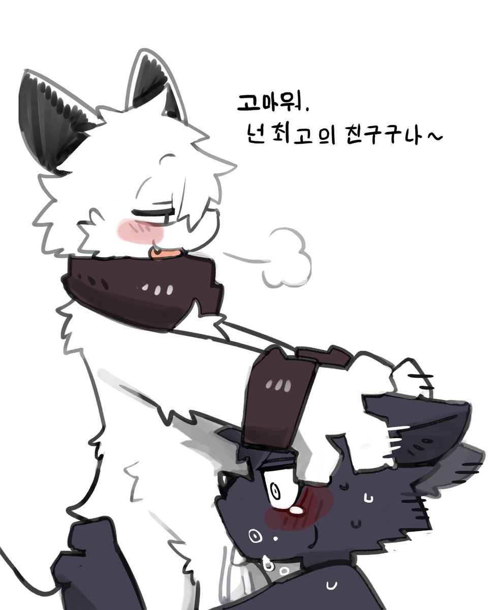pizademokttero's tweet photo. 이 늑대는 섹스 배틀에 져서 그의 말을 들을 수 밖에 없습니다.　🐈♂🐺♂ https://t.co/CyrdxnIx9P